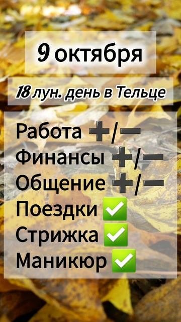 Лунный день 9 октября 2025 года