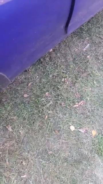 Марио теперь все секреты знает