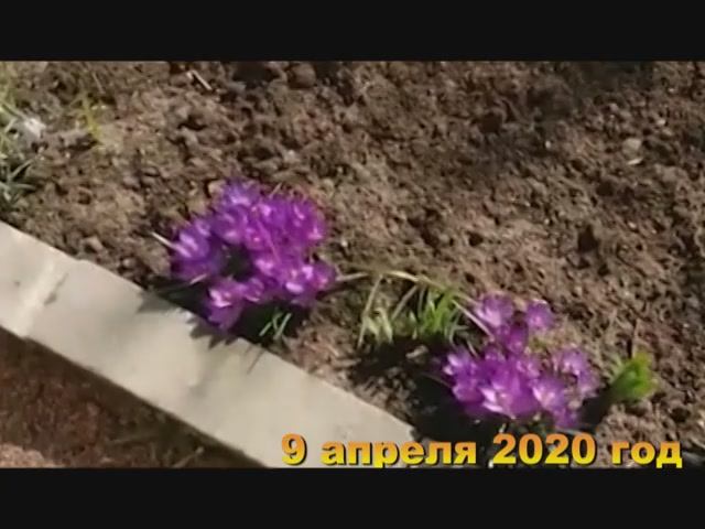 7 соток. Первые дни на даче после долгой зимы. Хроника  9  апреля 2020 год