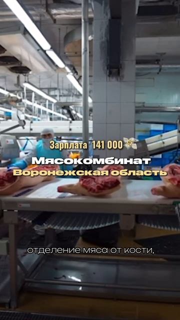 Заполняй анкету в шапке профиля!