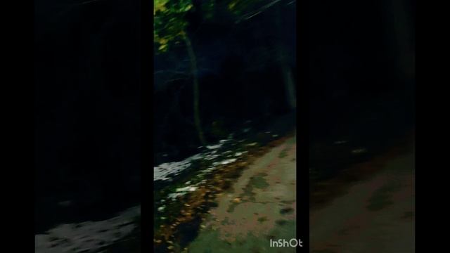 Моя пробежка по вечернему парку. Хожу одна по парку