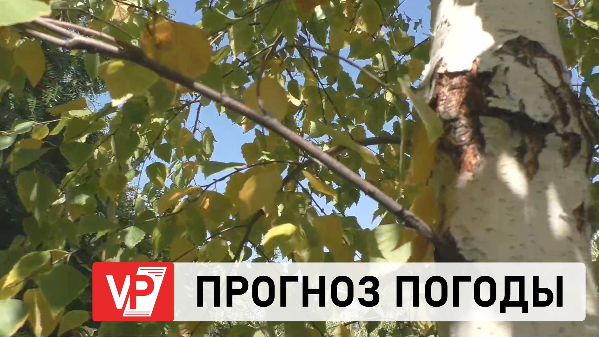 ПРОГНОЗ ПОГОДЫ ПО ВОЛГОГРАДУ И ОБЛАСТИ С 9 ПО 14 ОКТЯБРЯ