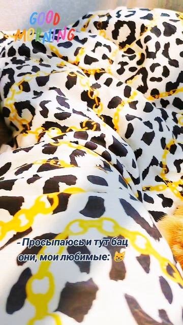 😸😸😸😸😸😸😸😸