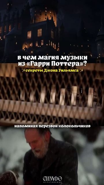 NELLA MUSICA ORCHESTRA «Гарри Поттер и Симфомультимедия»