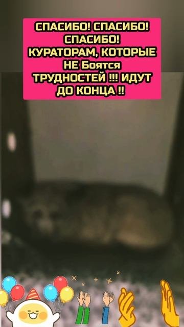 радость и ликование !!!