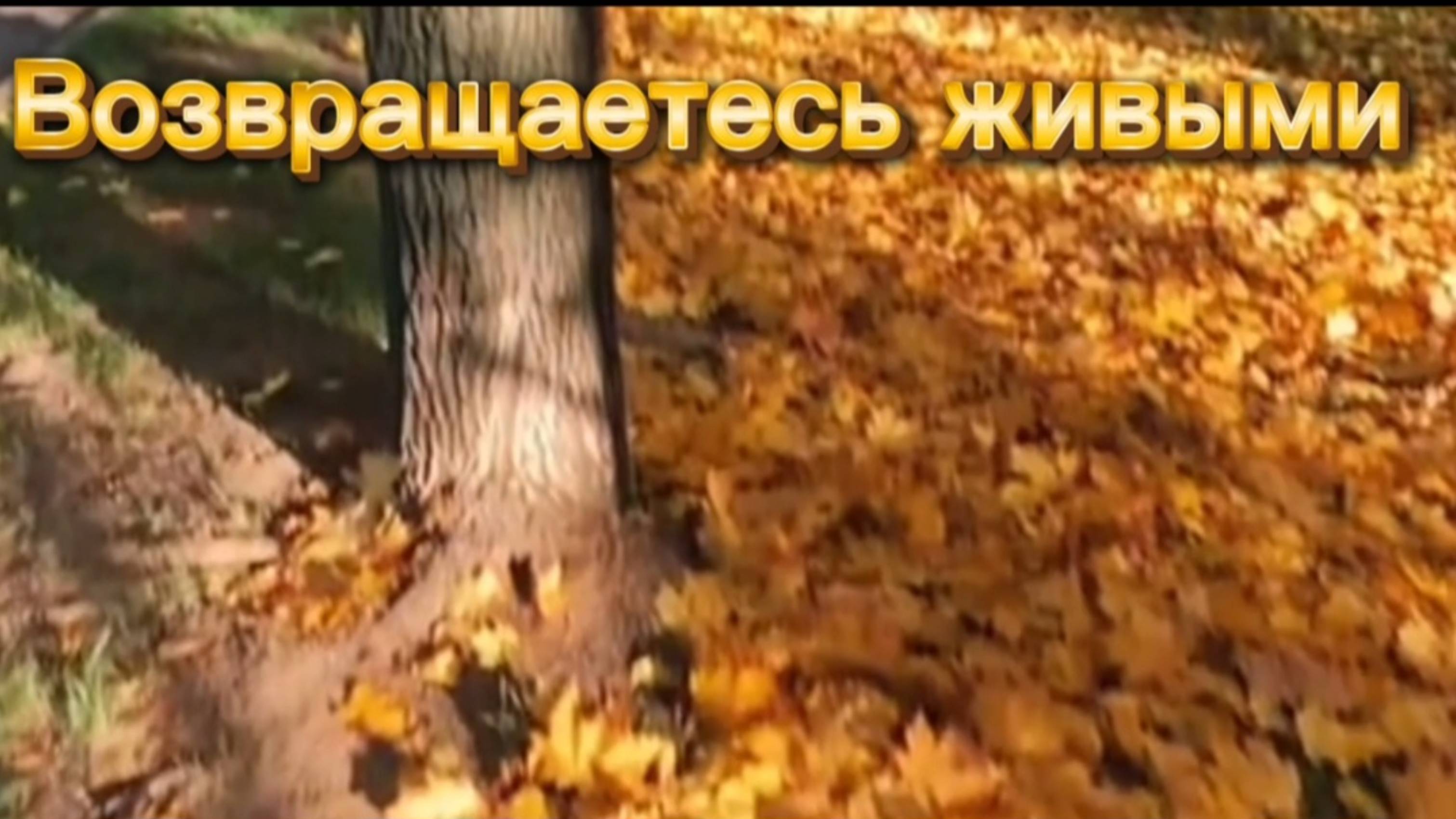 Возвращайтесь живыми