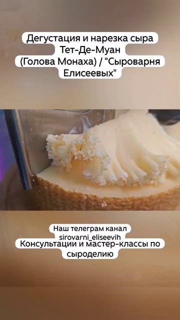 Дегустация и нарезка сыра Тет-Де-Муан Голова Монаха  Сыроварня Елисеевых