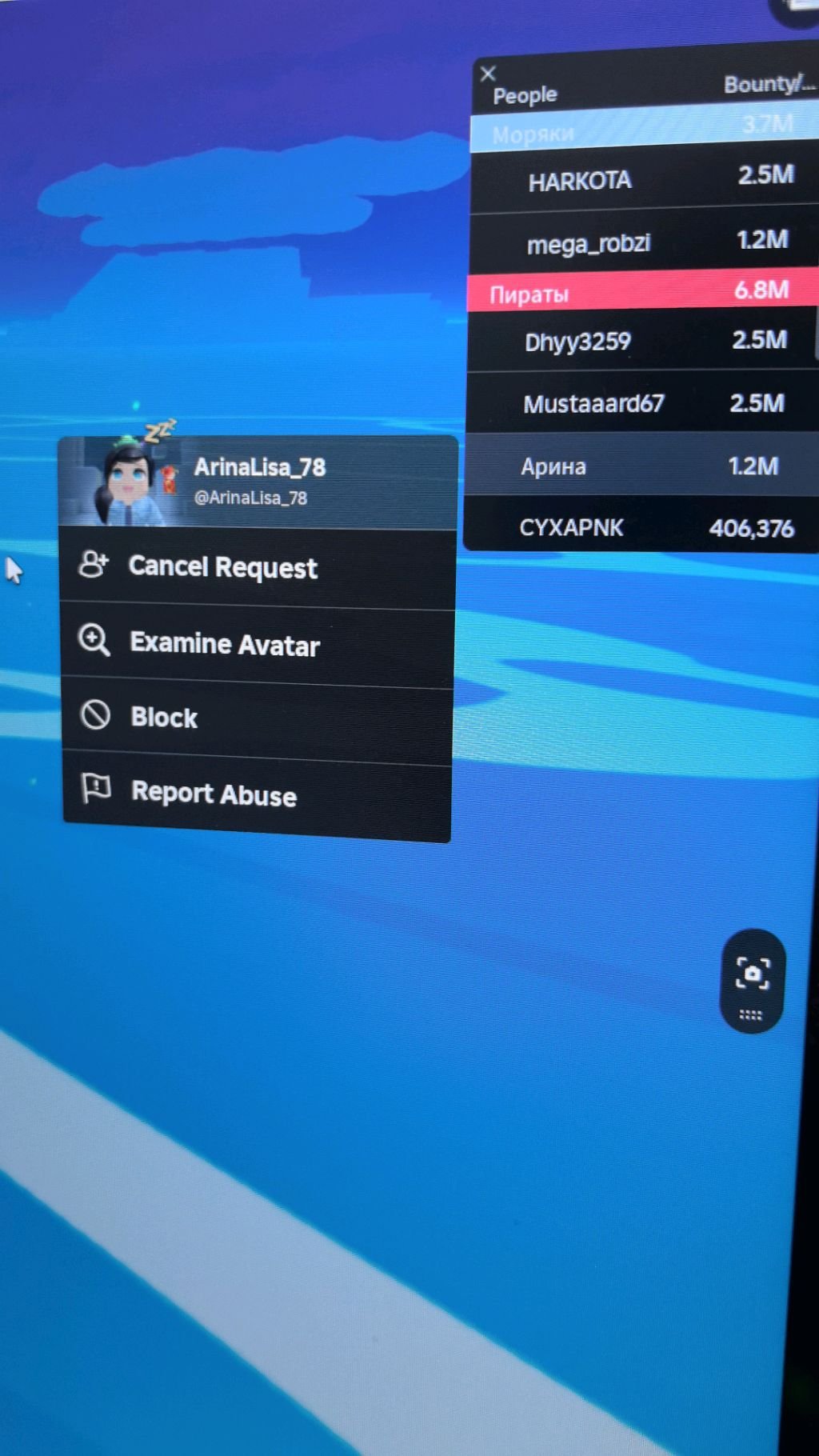 Play Roblox 12