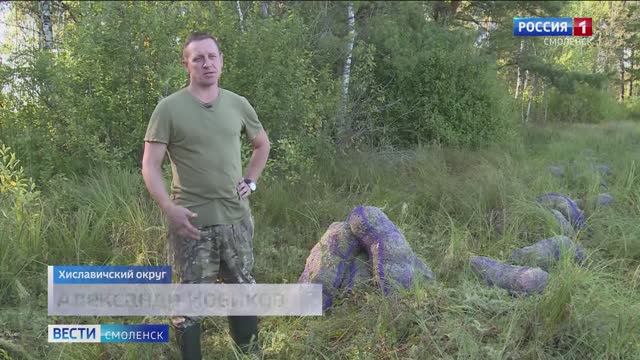 Смолянин поселился в деревне и занялся сбором необычных природных материалов