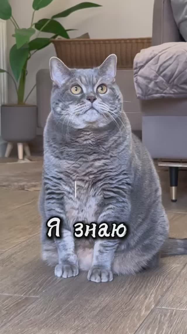 Я знаю 