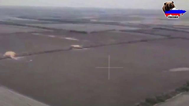 Кадры освобождения Новогригоровки в Запорожской области.