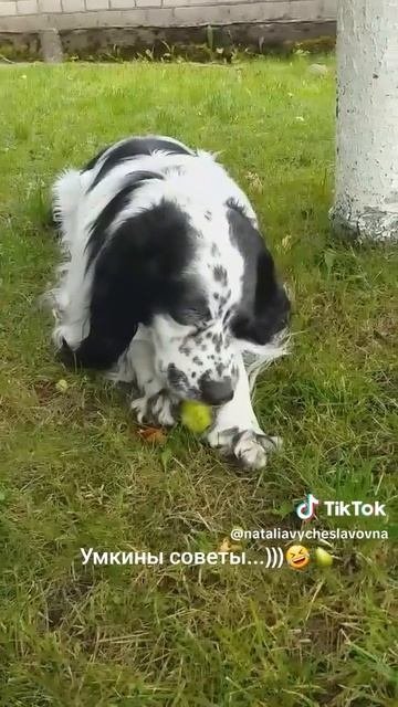Угощайся!...)))