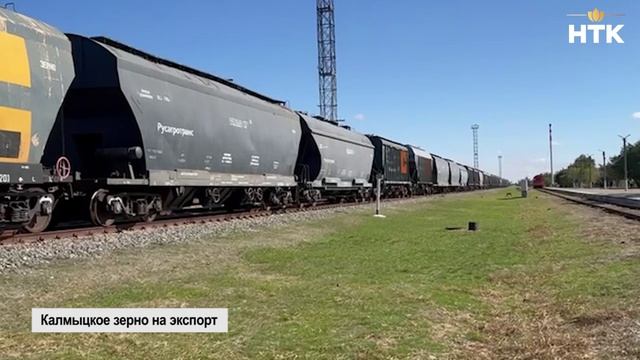 Калмыцкое зерно впервые отправлено на экспорт железнодорожным путем