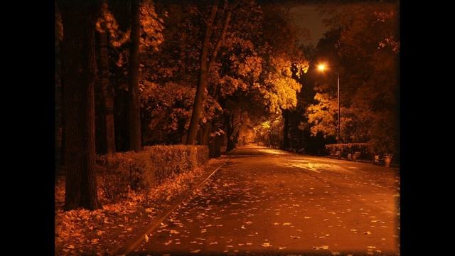 2й-1+вариант. Осенний вечер в свете фонарей  Автор стихотворения. Юрий Кручинин