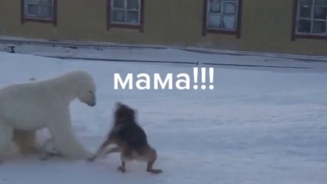 Мама♡