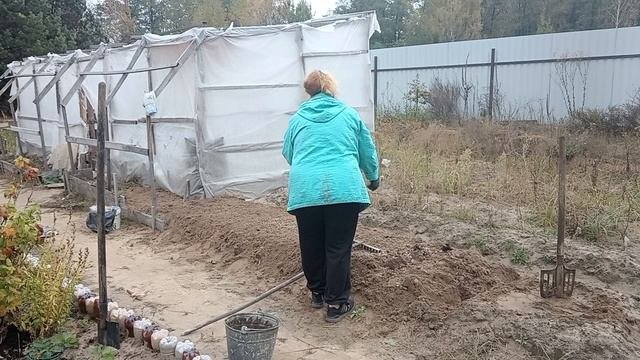 Наша дачная жизнь. Картошка и сосиски - просто и вкусно. СЕМЬЯ НА ДАЧЕ 284.