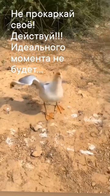 мотивация