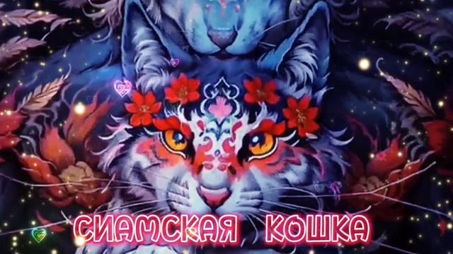 Сиамская кошка (ROZOV/AI/01)