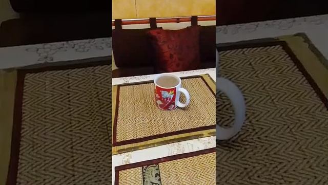 Польза какао