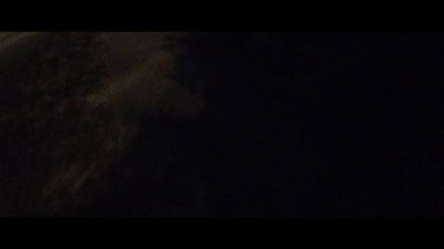 Мы идём гулять с собакой! | 30-июл-2025