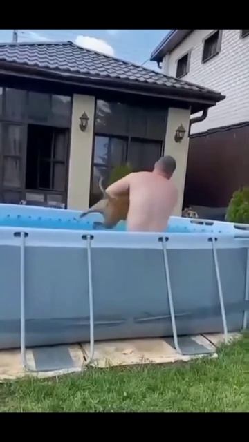 Кто кого 😅🐕🐕🐕