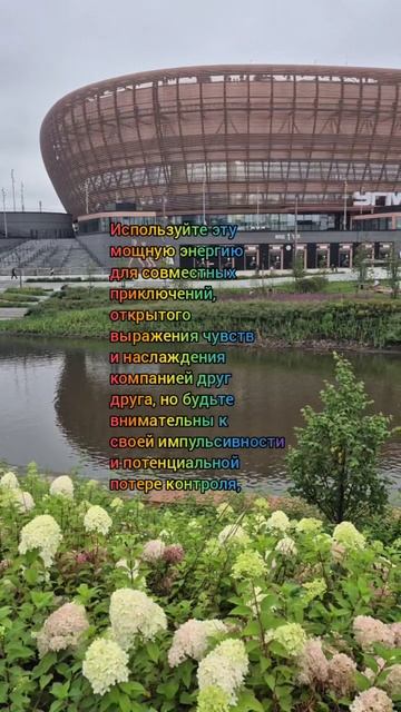 Лунный календарь 08.10.25 #лунныйкалендарь #астропрогнознакаждыйдень #астрология #лунныедни