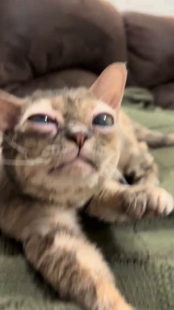 Среда это маленькая пятница, щас кофейку бахнем и раздуплимся😏