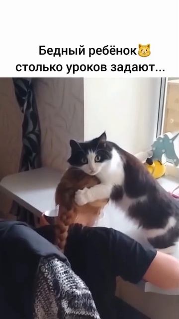 Зачем эта ваша домашка