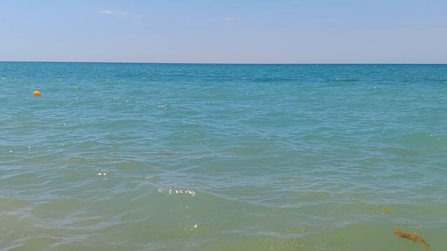 ЧУДЕСНОЕ УТРО НА МОРЕ 🌊