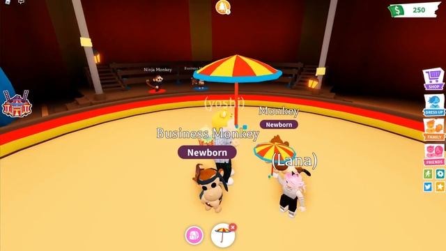 НУЖНО БОЛЬШЕ ДЕНЕГ...  Roblox Adopt Me
