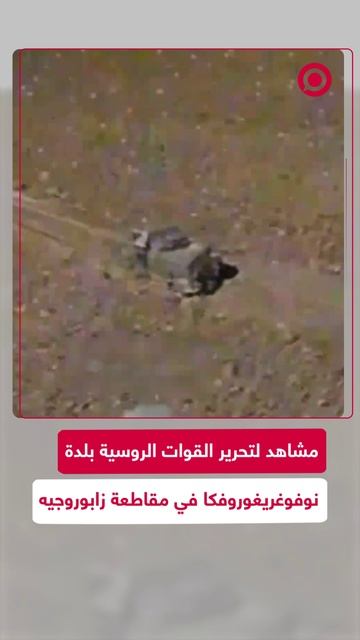 مشاهد لتحرير بلدة نوفوغريغوروفكا في مقاطعة زابوروجيه 1