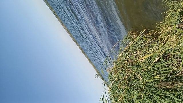 я в Курчатове