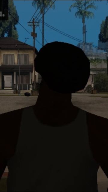 GTA San Andreas(6)