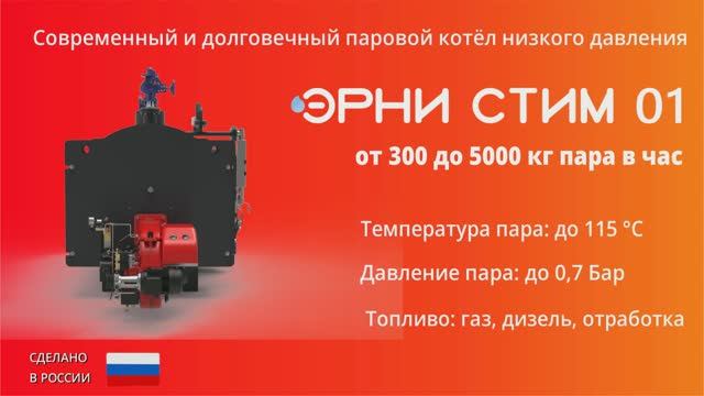 Паровые котлы низкого давления ЭРНИ СТИМ 01