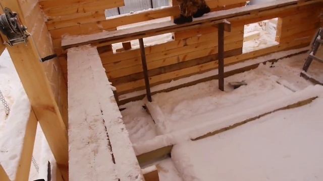 Строительный кот