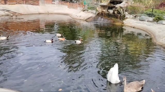 Ейск ! Такого видео у меня на канале не было ни когда, ' Ейская землянка '