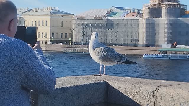 Модель из Санкт Петербурга.