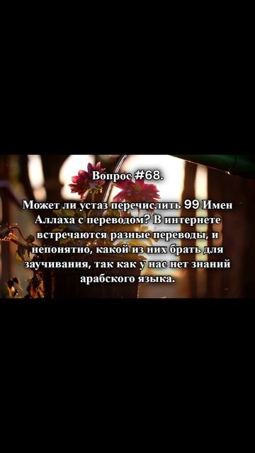 #раминмуталлим  #вопросответ  #shorts   #ислам  #знание  #rmotvet  @RMotvet  #религия