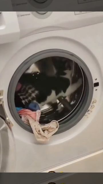 Очень нежный режим стирки