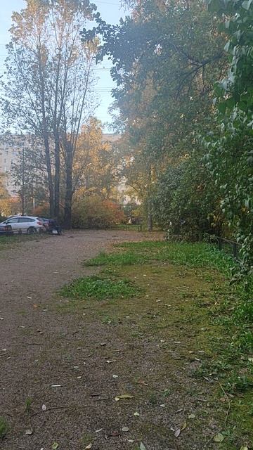 Анекдот 4