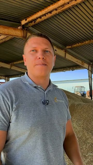 Potato Enthusiast In The Field | Tavrichesky Vegetable Grower