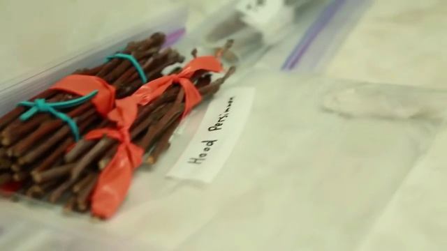 Хранение привоев в питомнике Native Nursery