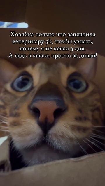 Вот так деньги и улетают