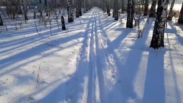 лыжная пробежка
