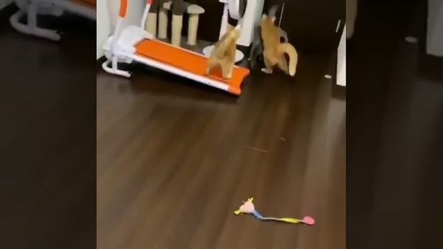 Ну ё моё  даже чихнуть нельзя