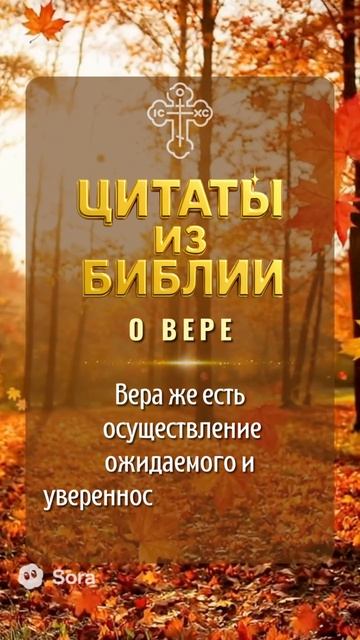 О вере