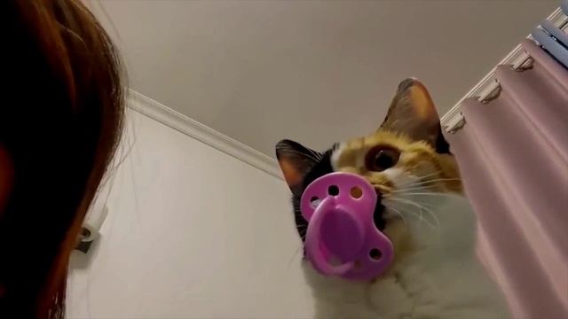 А что, вкусненько