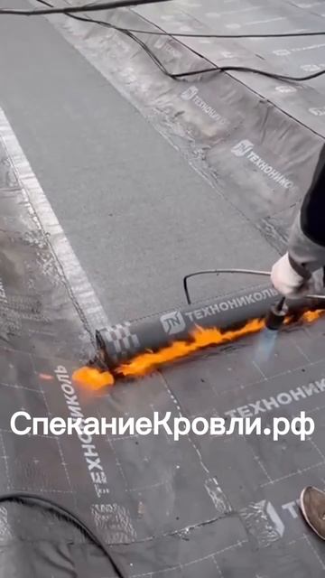 Группа компании «Строй» - ремонт кровли методом спекания! 🌟