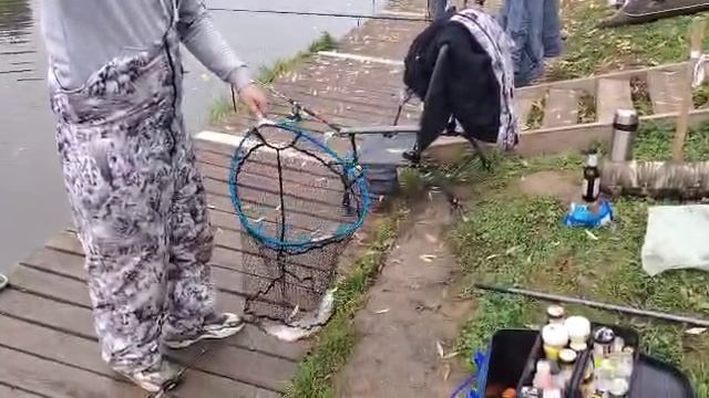 Форель на резину