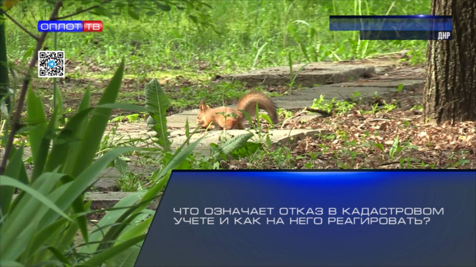 Что означает отказ в кадастровом учёте и как на него реагировать?